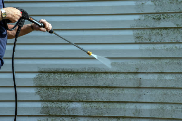 Best Affordable Pressure Washing  in Van Buren, MO