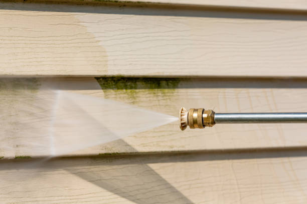 Best Power Washing Near Me  in Van Buren, MO